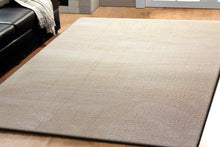 Load image into Gallery viewer, Dynamic Rugs Silky Shag 5900-100 Ivory Area Rug
