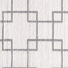 Load image into Gallery viewer, Dynamic Rugs Silky Shag 5901-119 Ivory/Silver Area Rug
