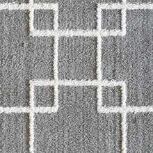 Load image into Gallery viewer, Dynamic Rugs Silky Shag 5901-901 Silver Area Rug
