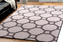 Load image into Gallery viewer, Dynamic Rugs Silky Shag 5903-119 White/Silver Area Rug
