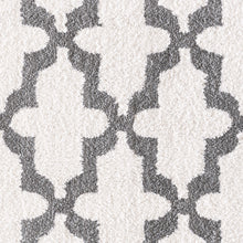 Load image into Gallery viewer, Dynamic Rugs Silky Shag 5906-110 White/Silver Area Rug

