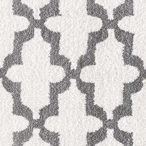 Dynamic Rugs Silky Shag 5906-110 White/Silver Area Rug