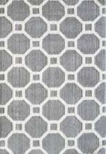 Load image into Gallery viewer, Dynamic Rugs Silky Shag 5903-901 Silver/White Shag Rug

