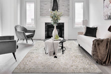 Load image into Gallery viewer, Dynamic Rugs Skyler 6711-999 Grey/Multi Area Rug
