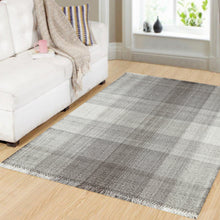 Load image into Gallery viewer, Dynamic Rugs Titus 5916-990 Grey/Dark Grey Area Rug
