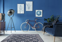 Load image into Gallery viewer, Dynamic Rugs Torino 3327-500 Navy Area Rug
