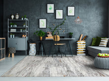 Load image into Gallery viewer, Dynamic Rugs Torino 3330-199 Ivory/Multi Area Rug
