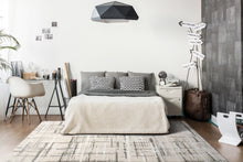 Load image into Gallery viewer, Dynamic Rugs Troya 4602-110 Ivory/Grey Area Rug
