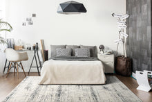 Load image into Gallery viewer, Dynamic Rugs Troya 4604-190 Grey/Ivory/Blue Area Rug
