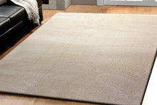 Load image into Gallery viewer, Dynamic Rugs Velvet 5900-100 Ivory Shag Rug
