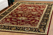Load image into Gallery viewer, Dynamic Rugs Yazd 1744-310 Red Area Rug
