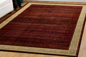 Dynamic Rugs Yazd 1770-310 Red Area Rug