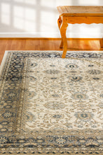 Load image into Gallery viewer, Dynamic Rugs Yazd 2803-190 Ivory/Grey Area Rug
