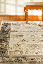Load image into Gallery viewer, Dynamic Rugs Yazd 8531-190 Ivory/Grey Area Rug
