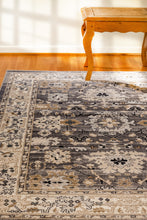 Load image into Gallery viewer, Dynamic Rugs Yazd 8531-910 Grey/Ivory Area Rug
